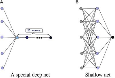 Deep Net Tree Structure for Balance of Capacity and Approximation Ability